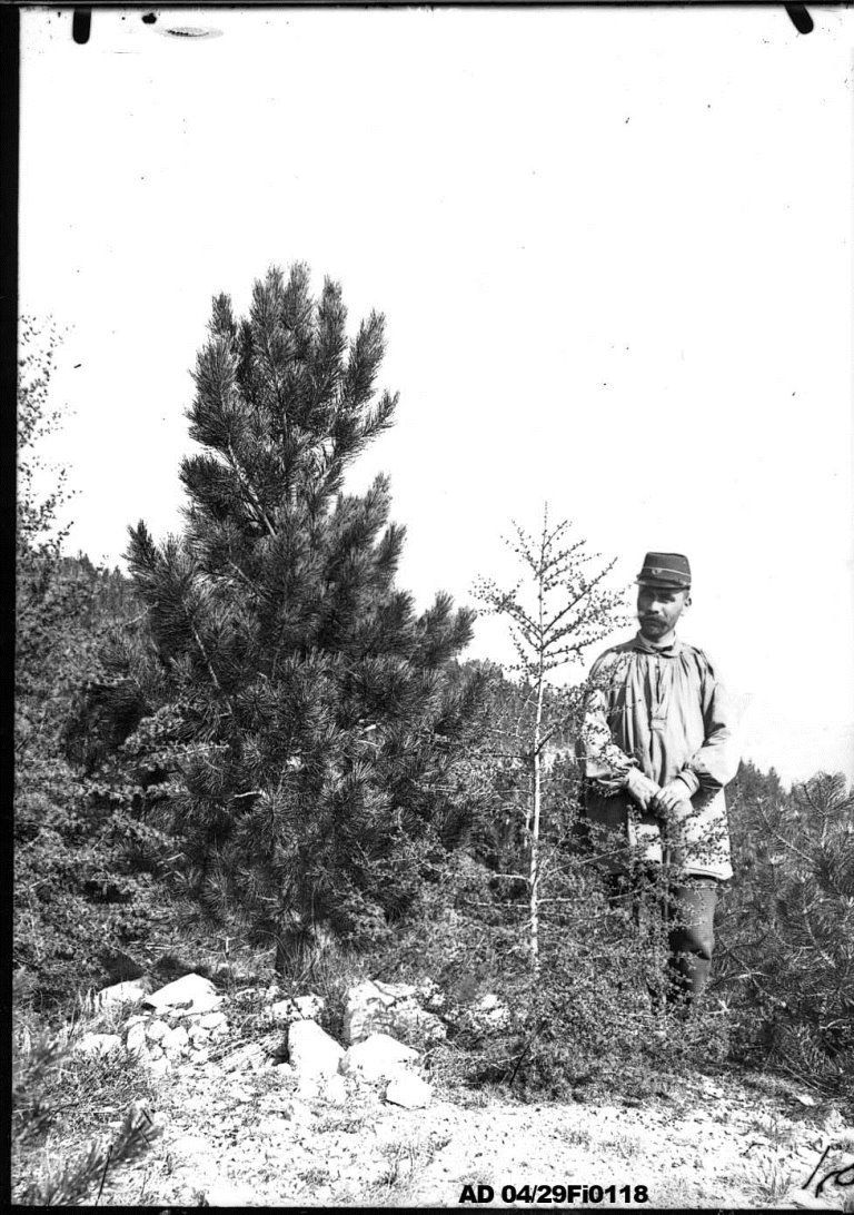 Photographies du service de la restauration des terrains en montagne